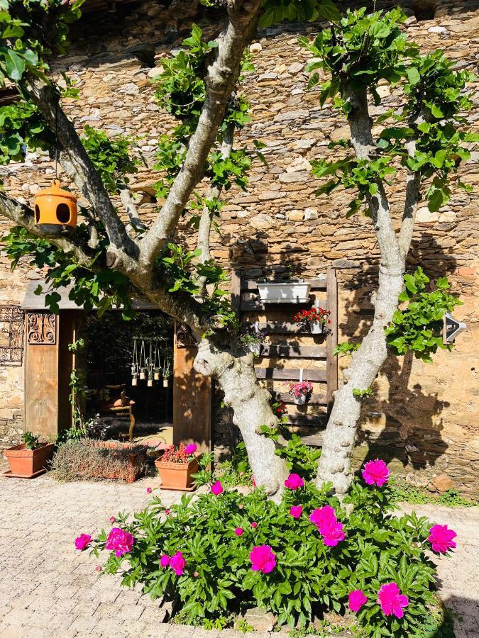 Chambres Et Maison D Hotes A La Placette Albigeoise Tout Pres D Albi Villefranche-d'Albigeois Exterior photo